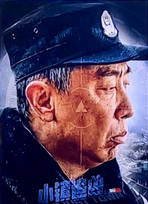 久久九九视频